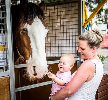 Breed village