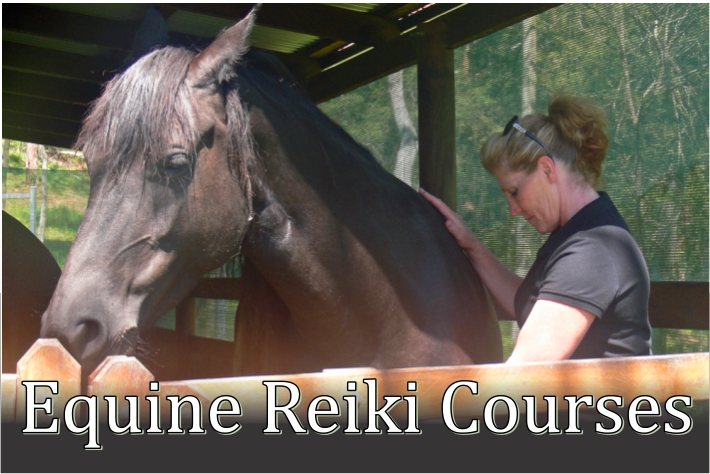 Equine Reiki Courses