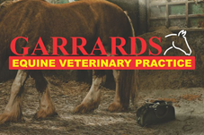 Garrards Equine Veterinary Practice