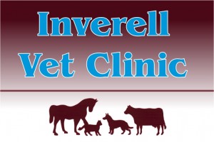 Inverell Veterinary Clinic