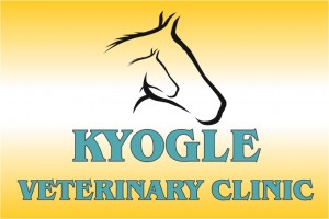 Kyogle  Veterinary  Clinic