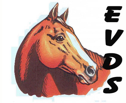 Equine Veterinary And Dental Services