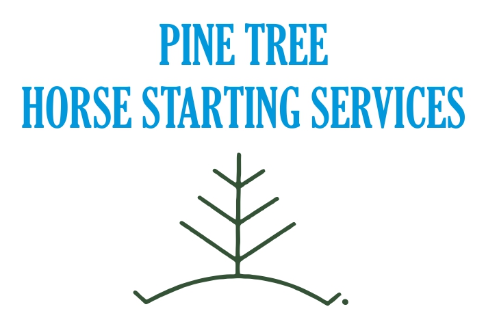 Pine Tree Horse Starting Services