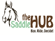 One Day Workshop:  Saddle Skills for Horse Owners