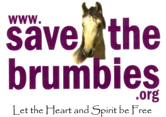 Save the Brumbies Inc