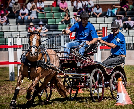 Team Driving