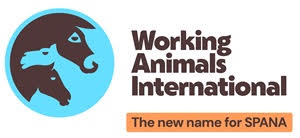 Media Release: Working Animals International appoints Missy Daniels as Australia Country Director