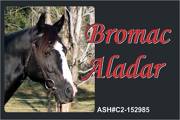 Bromac Aladar