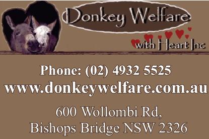 Donkey Welfare With Heart Inc