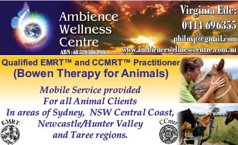 Ambience  Wellness  Centre