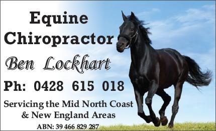 Equine  Chiropractor- Ben Lockhart