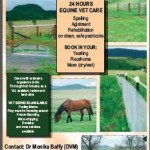 Freestone Equine Vet Farm