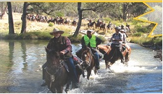 Three Waters ‘High Country’ Holidays and Horsetel is FOR SALE.