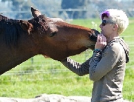 Equine Acupressure Courses