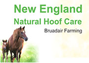 New  England  Natural  Hoof  Care