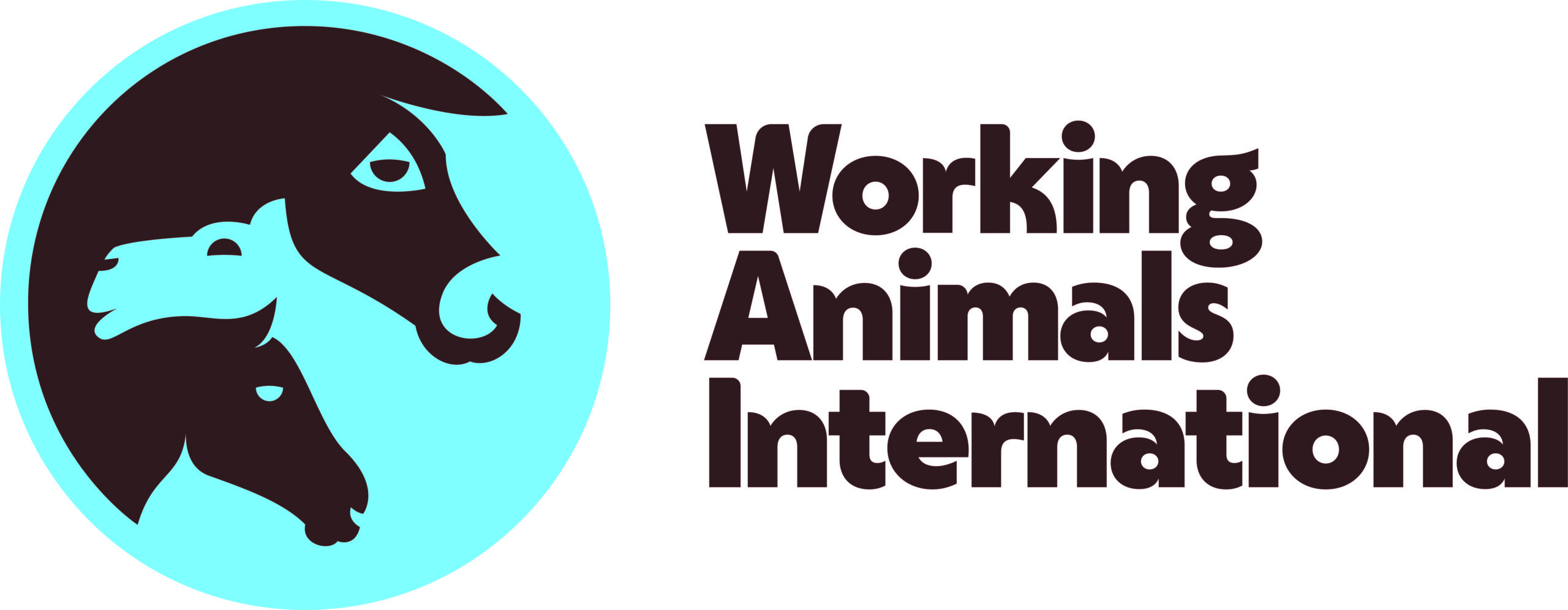 Tenth International Working Animal Day highlights overlooked welfare of working animals