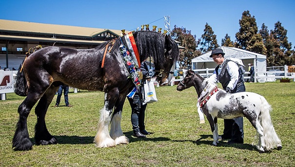 EQUITANA Melbourne is Back