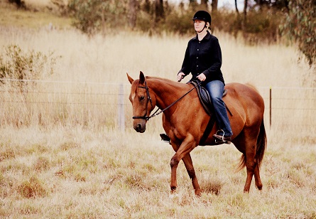 Dec 15 2012:  Susan Cambpell & Missy