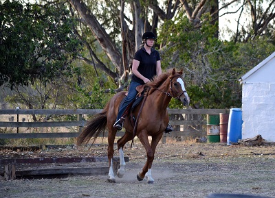 Jan 1 2013:  Susan Campbell & Buddy