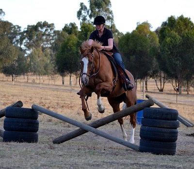 Jan1 2013: Susan Campbell & Buddy