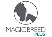 Magic Breed Plus