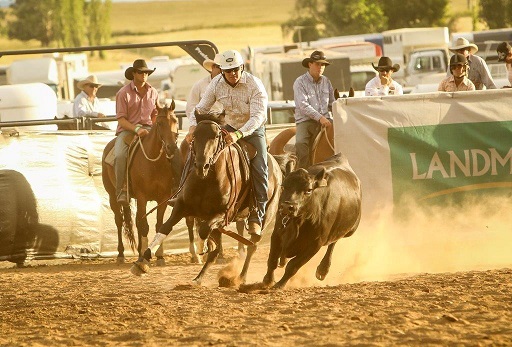 Matt Holtz on Bulla Tamborine 91 in Landmark Classic