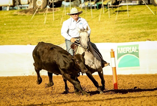 Pete Comiskey and Ervine Just Jim Landmark ClassicPhoto credit Jodie Humble – JEM Photography