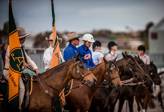  Stock horse time trial