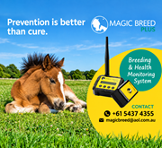 Magic Breed