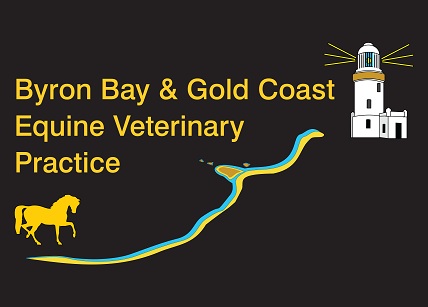 Byron Bay Gold Coast Equine Veterinary Practice